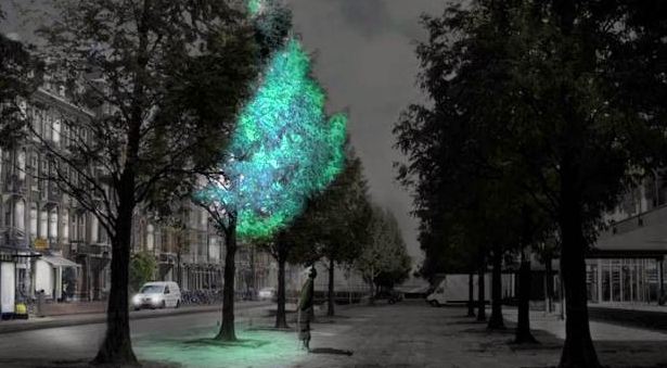 Bioliuminescenciniai medžiai